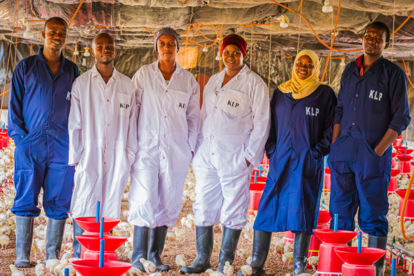 Dedicated Poultry Team at Kiliagro